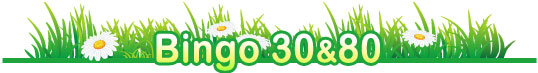 Bingo 30 & 80
